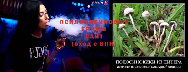mdpv Волоколамск
