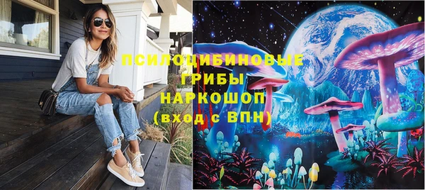 spice Тутаев