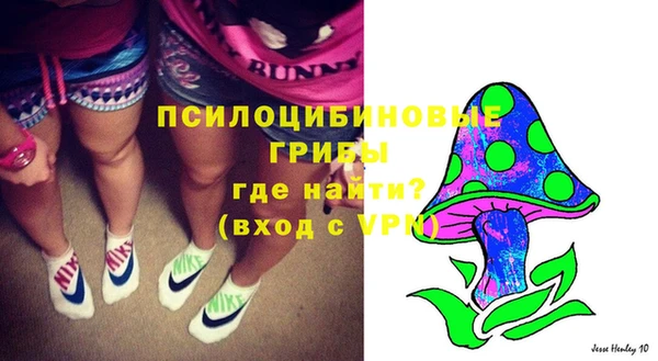 spice Тутаев