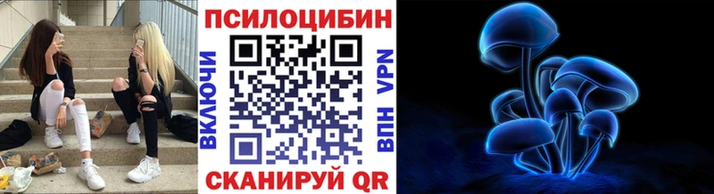 Псилоцибиновые грибы GOLDEN TEACHER  Козельск 